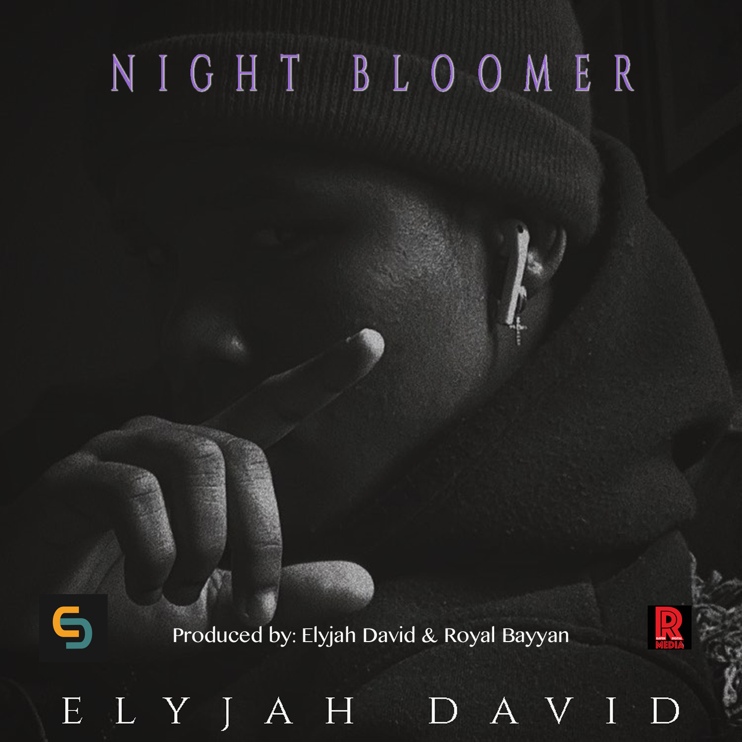 
				<header class="entry-header">
					<h2 class="entry-title">
						<a title="Night Bloomer" href="#" target="_blank">Night Bloomer</a>
					</h2></header>